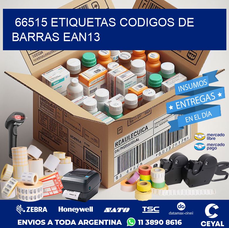 66515 ETIQUETAS CODIGOS DE BARRAS EAN13
