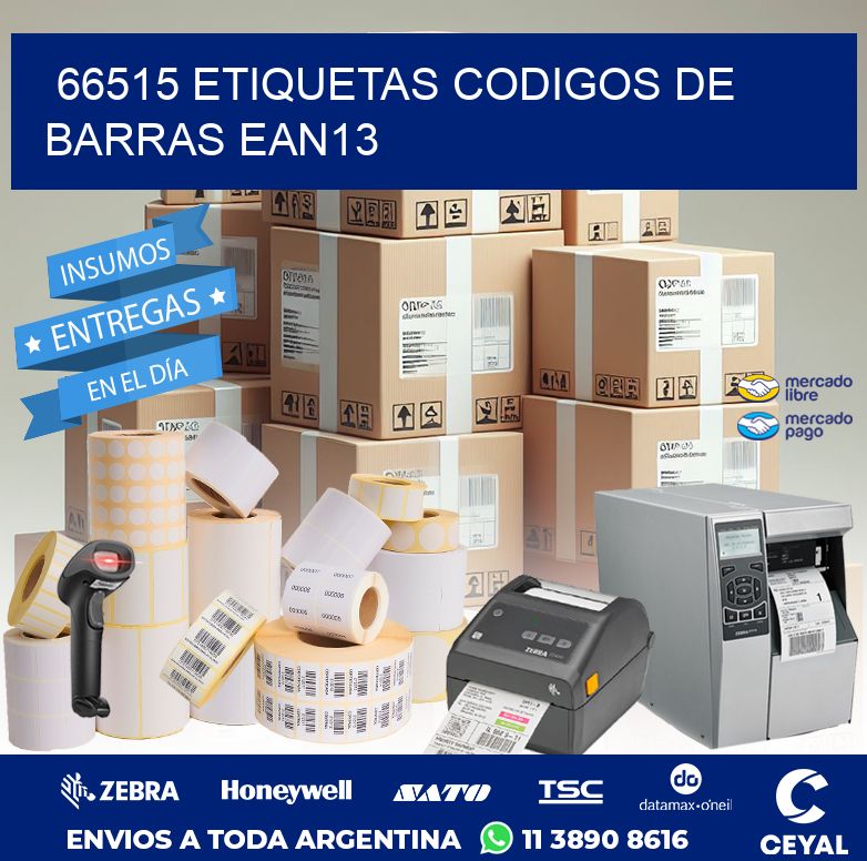 66515 ETIQUETAS CODIGOS DE BARRAS EAN13